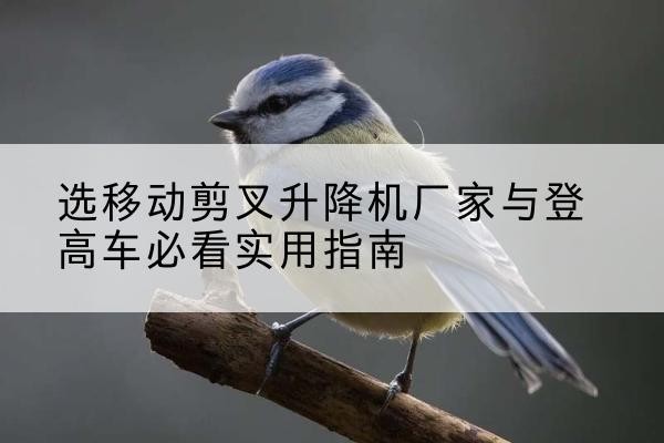 新化电动升降机厂家-选移动剪叉升降机厂家与登高车必看实用指南