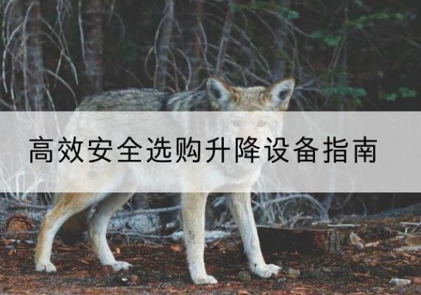 新化升降货梯厂家推荐-*安全选购升降设备指南