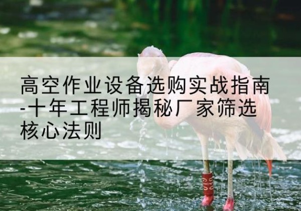 新化剪叉式升降机厂家-高空作业设备选购实战指南-十年工程师揭秘厂家筛选核心法则